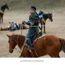 더마파크 이미지