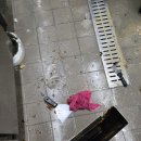 덕지식당 이미지