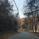 가야산장식당 이미지