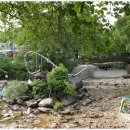 물고기의눈물이호수로 이미지