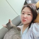 퇴촌한의원 | (출산후기) 분당차여성병원 조기양막파수 초산 유도분만 자연분만 2박3일