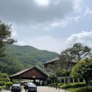 양평TPC GC | 경기 양평 TPC GC 라운딩 :: 그린이 나이스했던 라운딩 후기
