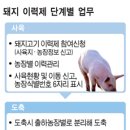 대전충남양돈농협인공수정센터 | 돼지고기 이력제 시행…어떻게 이뤄지나