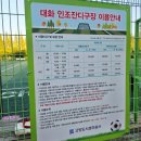 대화인조구장 이미지