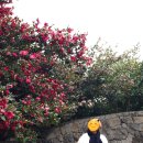 풍경을 담다, 어반스케치 이미지