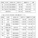 씨앤피자원