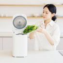 리움아일랜드 | [리뷰 139개 분석] 30만원대 이나프 음식물처리기 리움, 싼 게 비지떡일까?