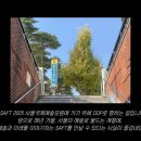 ChatGPT와 함께하는 미래 경영 전략 | SAFT 2025 서울국제예술포럼 후기