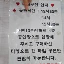 이기대공원(공룡발자국 앞) | 전남 보성 비봉공룡공원 마술쇼 풍선쇼 아이랑 가볼만한곳