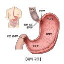 반월마리아유의원 이미지