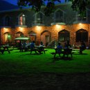 강과소나무 이미지