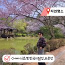 수양공원1(팔각정)->폐쇄 | 경주 보문정 벚꽃 실시간 꽃구경, CNN도 반한 인생샷 명소