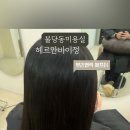 헤르안바이정