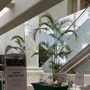 아트클래스미술학원 이미지