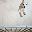 두두스테이 이미지