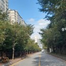 진흥아파트 입구사거리 이미지