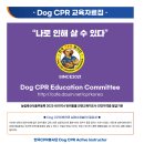 Dog CPR교육자료 이미지