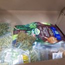 에밀리펫 이미지