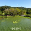 운곡 이미지