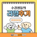(여름방학) 수학의 자신감 초등 수학 | [공지] 달서구 유천동 이노수학학원 2025 여름방학 특강으로 완성한 수학 자신감!