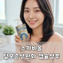 비올 | 탈모 샴푸 추천, 두피 유분과 각질까지 개운하게 관리한 스카비올 후기