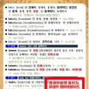 토템토탈