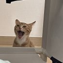 (주)추어미가 네이버블로그