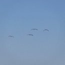 다인농장 이미지