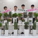 그린파워 이미지