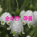초심(初心)