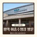 이충문화체육센터 | [이충문화체육센터 수영장 완벽 가이드] 주차부터 강습, 요금까지 총정리!