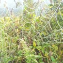 보현농장 이미지