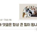 수원-0856 이미지