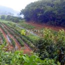 외리농장 이미지