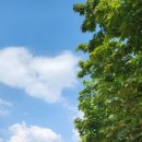 한끼의 밥(One 이미지