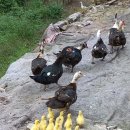 가나안농장 이미지