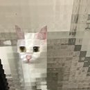 네모PC방 이미지