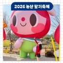 31140-7-49-27 | 2026 논산 딸기축제 가수 일정 시간 체험 먹거리 주차 후기