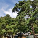 지방도387호 | [신선-삶·글·프] 도덕산이 품은 비경, 칠곡군 도덕암(道德庵)