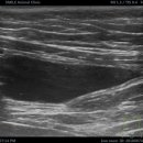 구름동물병원 이미지