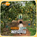남원읍-41 | 제주도여행 아이랑 가볼 만한 곳 레몬뮤지엄
