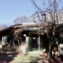 박터진흥부네 이미지