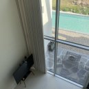 파인트리 스테이 이미지