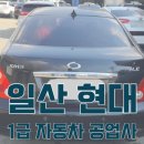 일산서비스기아오토큐 이미지