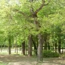 서울숲5 이미지