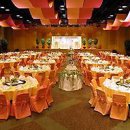 비피인터내셔널 이미지