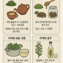 중부-현장-중부-510 | z148, 약용식물 미역취, 이뇨·신장 보호, 항염·항균, 상처 치유, 해열·진통, 혈관 보호, 간·담 보호...