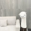 씨엘호텔(CL HOTEL) 이미지