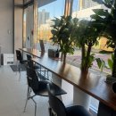 안일초등학교 정문 앞 이미지