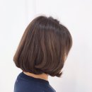 보니헤어 이미지